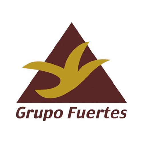 GRUPO CORPORATIVO FUERTES S.L.